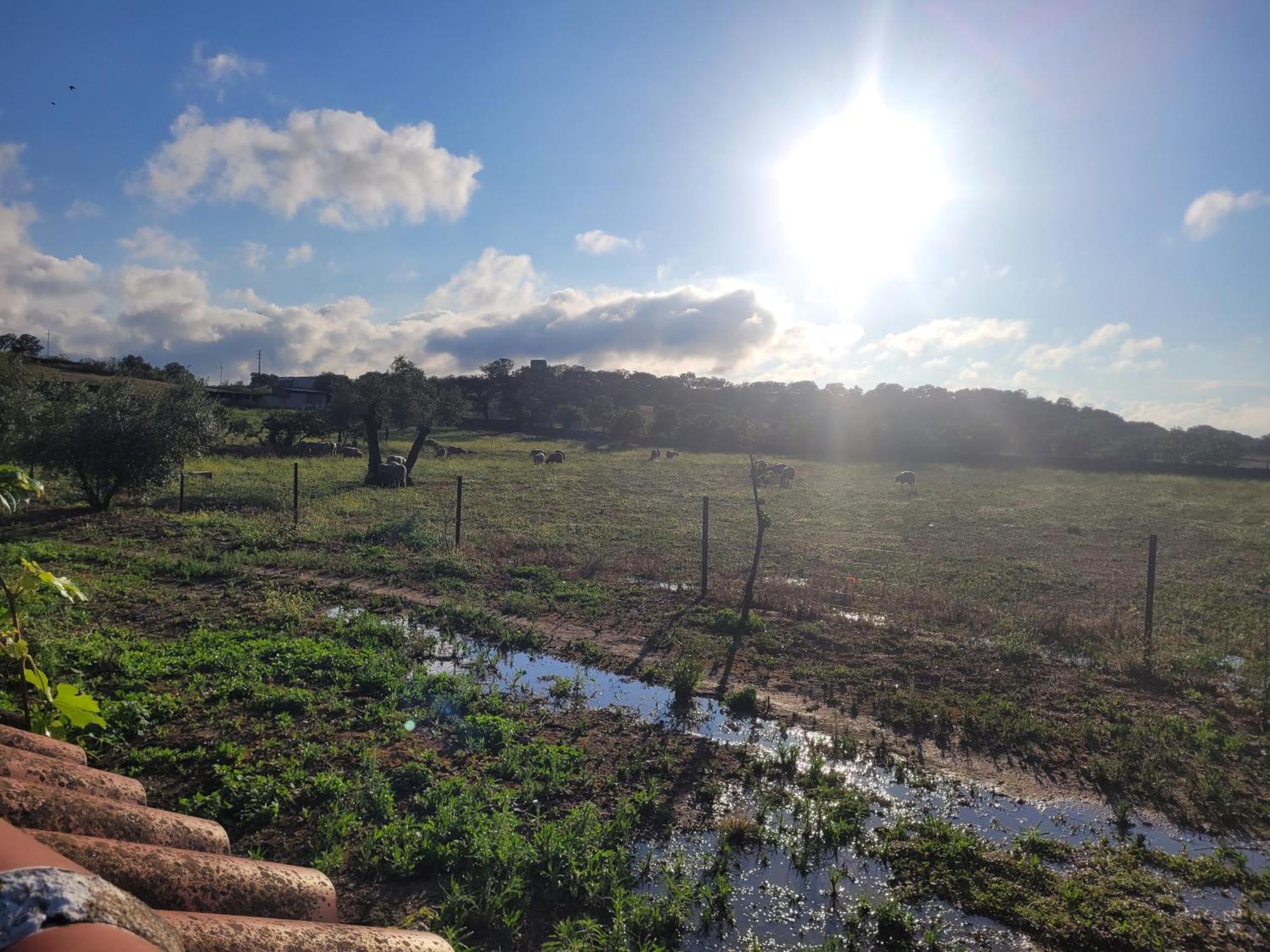 Willa Complejo Rural El Soldado Villanueva del Duque Zewnętrze zdjęcie